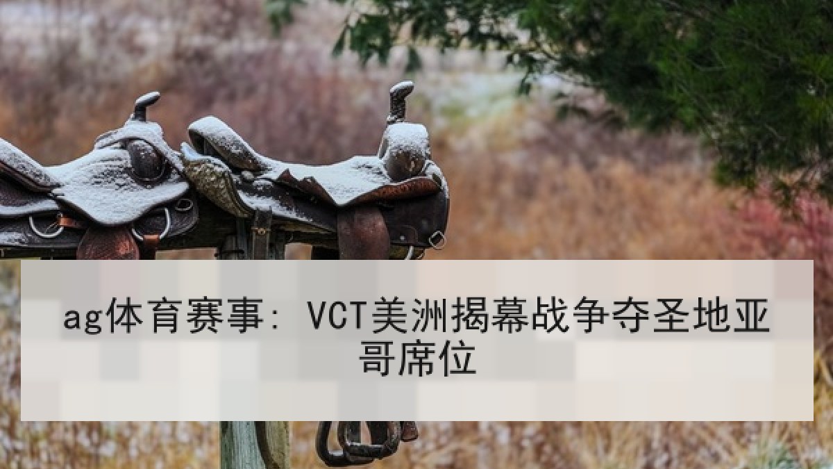 ag体育赛事: VCT美洲揭幕战争夺圣地亚哥席位