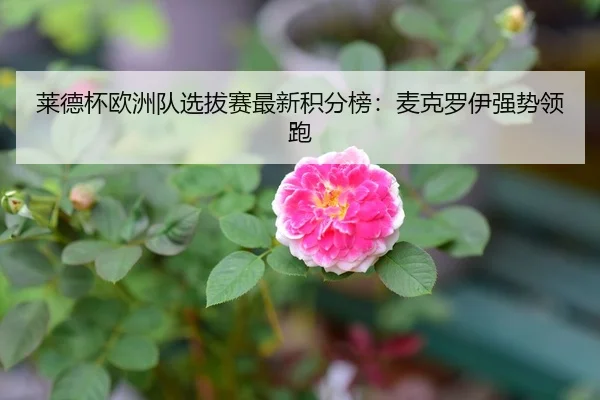 莱德杯欧洲队选拔赛最新积分榜：麦克罗伊强势领跑