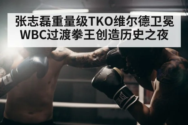 张志磊重量级TKO维尔德卫冕WBC过渡拳王创造历史之夜