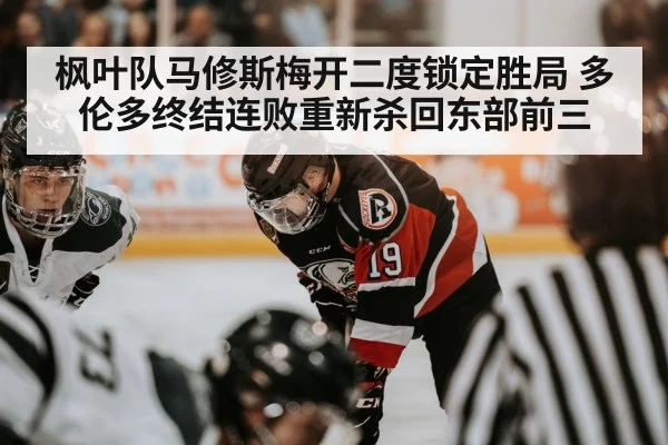 NHL hockey action