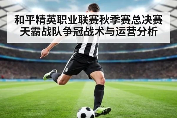 和平精英职业联赛秋季赛总决赛天霸战队争冠战术与运营分析