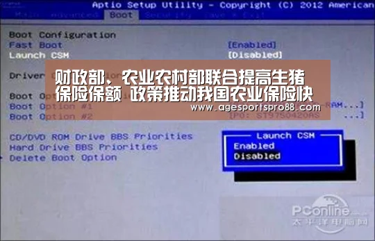 财政部、农业农村部联合提高生猪保险保额 政策推动我国农业保险快速发展|AG入口