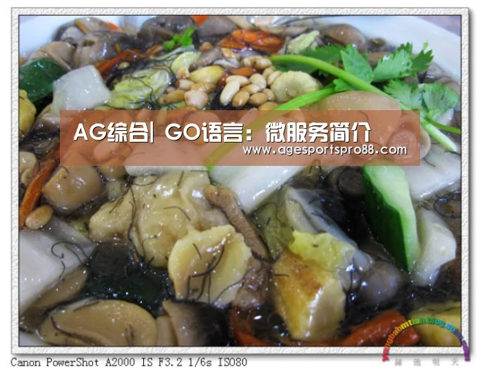 AG综合|
GO语言:微服务简介(图3) AG入口
