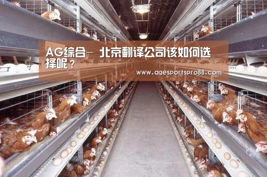 AG综合-
北京翻译公司该如何选择呢？