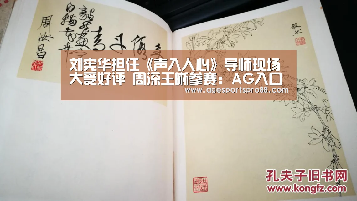 AG篮球