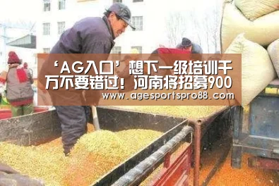 AG篮球