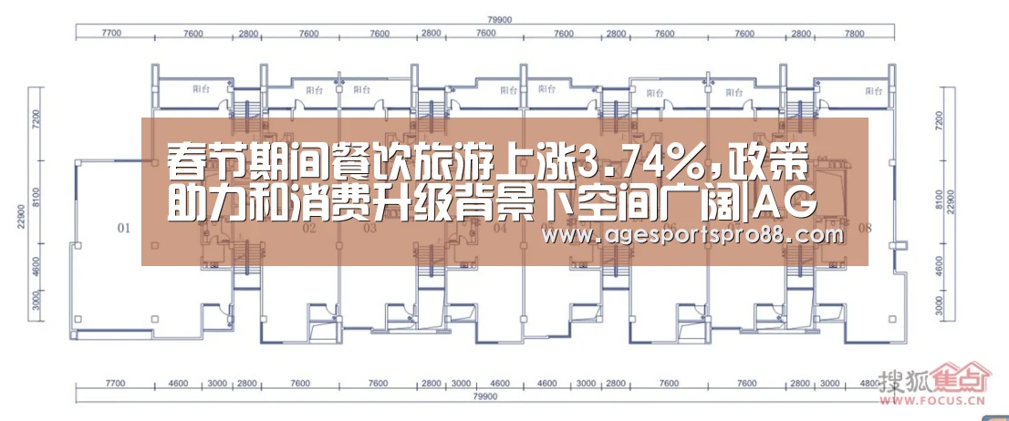 春节期间餐饮旅游上涨3.74%,政策助力和消费升级背景下空间
